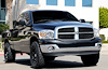 Upper Class Mesh Grille Insert 2006-2008 Ram 1500 - image 1
