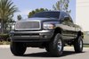 Upper Class Mesh Grille 2002-2005 Dodge Ram Sport - image 2