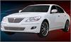 Upper Class Mesh Grille 2009-2011 for Hyundai Genesis Sedan - image 1