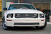 Upper Class Mesh Grille Insert - image 1