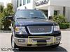 Upper Class Mesh Bumper Grille Insert 2003-2006 Ford Expedition - image 1