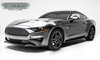 Billet Grille for 2018-Up Ford Mustang GT - image 2