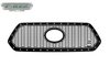 LASER X GRILLE TACOMA - image 3