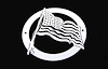 Grille Logoz US Flag - image 1