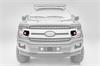 FRONT GRILLE - image 1
