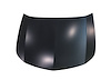 CAPA HOOD PANEL ASY ALUMI - image 1