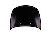 CAPA HOOD PANEL ASY E82|E - image 1