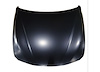 HOOD PANEL ASY F30 SDN BM - image 1