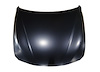 CAPA HOOD PANEL ASY F30 S - image 1