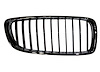 RH GRILLE ASY STDF36 BMW - image 1