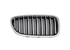 RH GRILLE ASY F10 STD|LUX - image 1