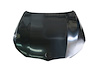 HOOD PANEL ASY G11/G12 AL - image 1