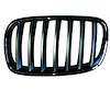 LH GRILLE ALL CHR ABS BM X-5 E70 3.5D/4.8I X5 07-09 - image 1