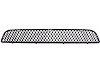 Grille Insert - image 1
