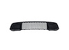 FRONT BUMPER GRILLEW/O AD - image 1