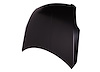 CAPA HOOD PANEL ASY SEDAN - image 1