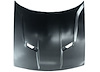 HOOD PANEL ASY R/T|R/T PL - image 1