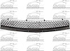 FRONT BUMPER GRILLE W/P F - image 1