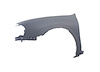 LH FENDER MAXIMA 02-03 - image 1