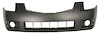 FT BUMPER CVR C P MAXIMA 07-08 - image 1