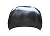 CAPA HOOD PANEL ASY ALUMI - image 1