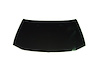 HOOD ALUM CHARGER 06-10 EXC SRT-8 - image 1
