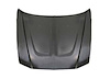 HOOD PANEL ASY STEEL DODG - image 1