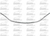 CAPA GRILLE MOLDING CHROM - image 1