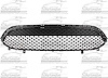 CAPA FRT BUMPER GRILLE W/ - image 1