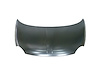 HOOD PANEL ASY FIAT 500 1 - image 1