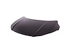 CAPA HOOD PANEL ASY HONDA - image 1