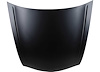 CAPA HOOD PANEL ASY 2.4L| - image 1