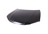 CAPA HOOD PANEL ASY COUPE - image 1