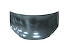 CAPA HOOD PANEL ASY HONDA - image 1