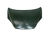 CAPA HOOD PANEL ASY ALL H - image 1
