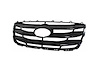 CAPA GRILLE ASY PTM HYUND - image 1