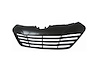 GRILLE ASY W/O CHROME MOU - image 1