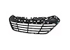 GRILLE ASY W/CHROME MOULD - image 1