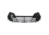 FRONT BUMPER GRILLE W/O T - image 1