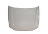 HOOD ACCENT 00-02 - image 1