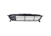 FRONT BUMPER GRILLE 0615 - image 1
