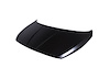 CAPA HOOD PANEL ASY HYUND - image 1