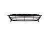 FRONT BUMPER GRILLE TO 10 - image 1