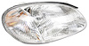 RH H.L. SONATA 99-01 - image 1