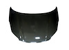 HOOD PANEL ASY FWD SPORTA - image 1