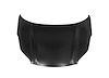 HOOD PANEL ASY AWD SPORTA - image 1