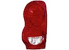 RH TAILLAMP LENS/HOUSING - image 1
