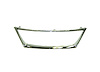 GRILLE MOLDING LEXUS IS25 - image 1