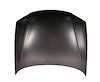 HOOD PROTEGE 99-00 - image 1