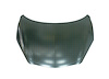CAPA HOOD PANEL ASY 2.0L/ - image 1